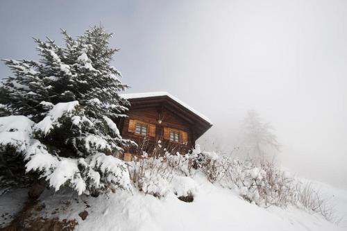 Traditional chalet in the heart of nature