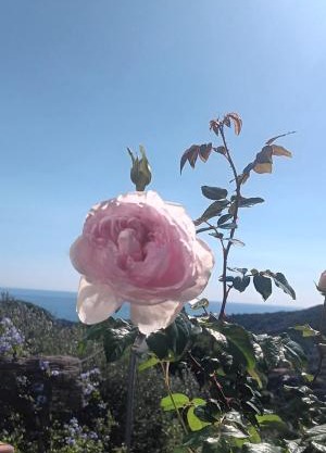 TraMonti e Mare, vistamare giardino, ideale famiglie