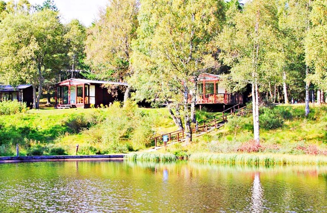 Tranquil Woodland Condo Resort