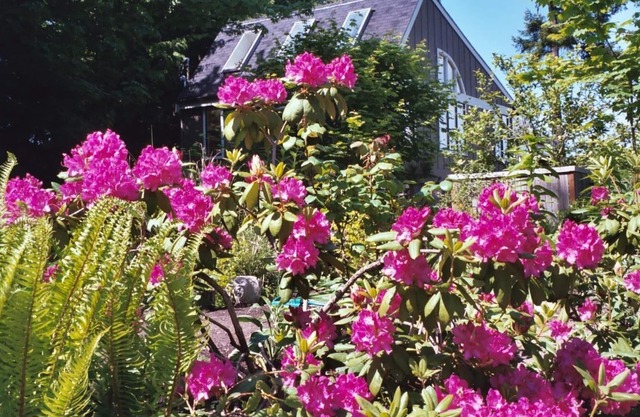 Tranquility and Peaceful Guest House Offers Guests A Quiet & Beautiful Getaway!