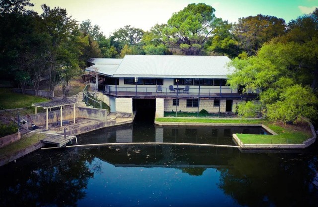 Tranquility at Lake LBJ