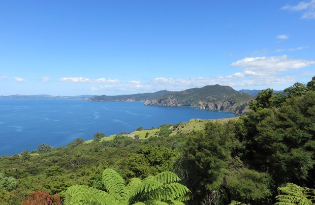 Tranquility Base ~ Northern Coromandel