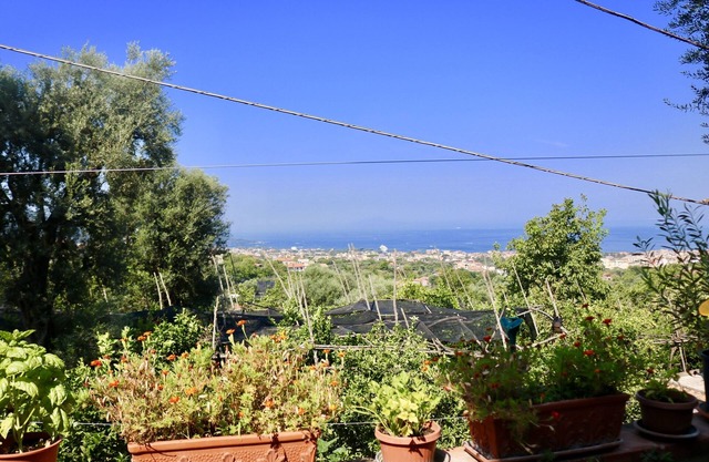 Traulivi villa with pool