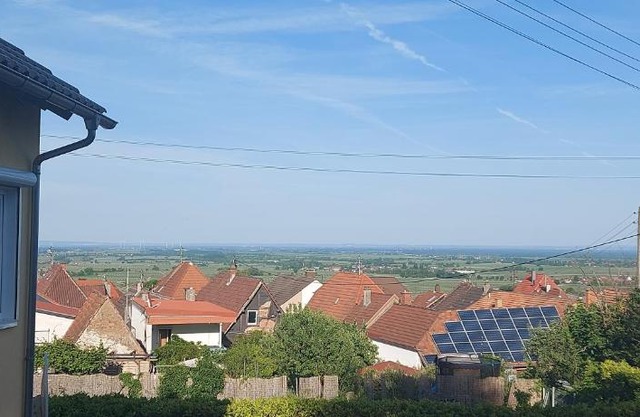 Traumblick Südpfalz
