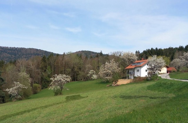 Traumhaftes neu Renoviertes Apartment mit Herrlichem Ausblick & top Ausstattung