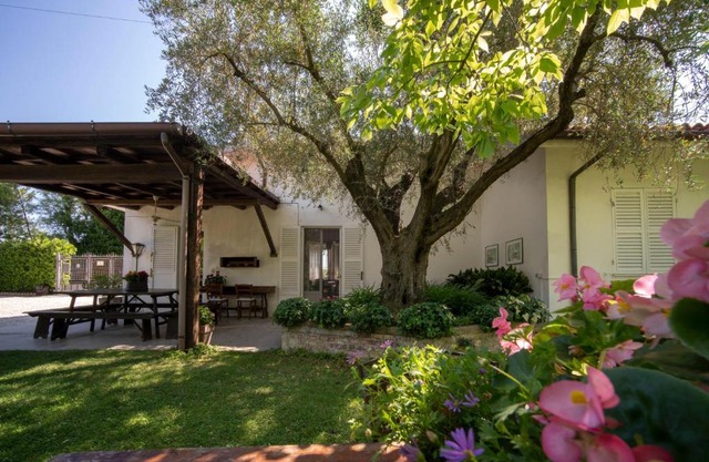 Trecentolivi B&b