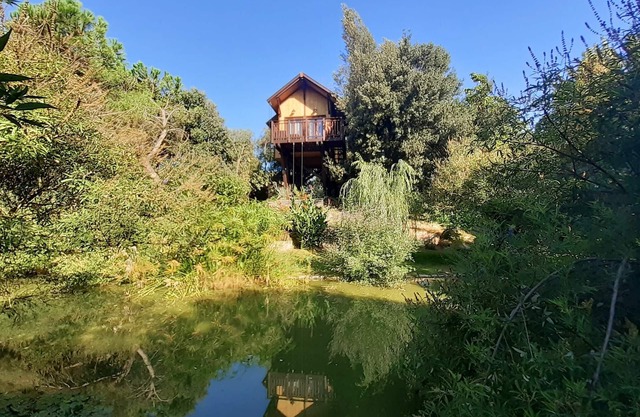Tree House Awen of La Bandita Farmhouse
