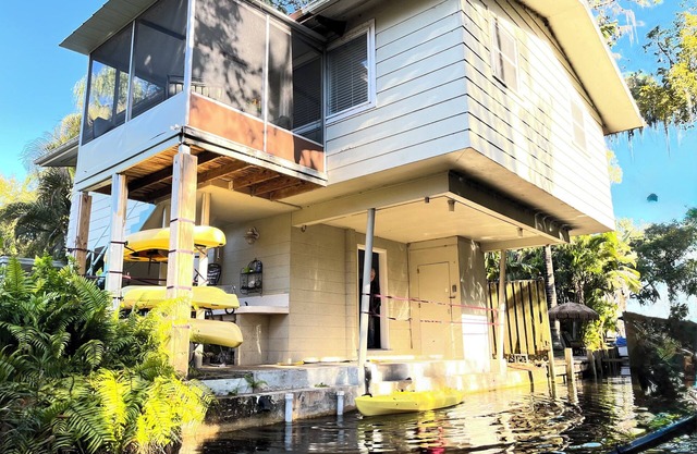 Tree House Treasure - elevated home hovering over the lagoon with 4 kayaks!