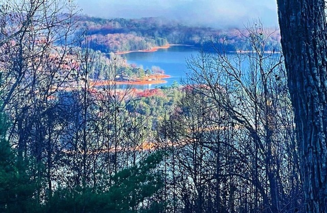 Tree Top Cozy, fireplace, amazing Blue Ridge Mountain and Lake views. Paved.