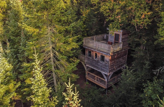 Treehouse #02 (Lakefront)