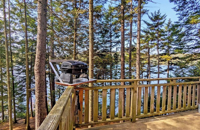Treehouse #05 | The Bee
