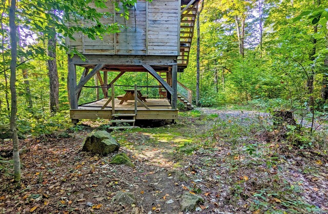 Treehouse #11 (in the forest)
