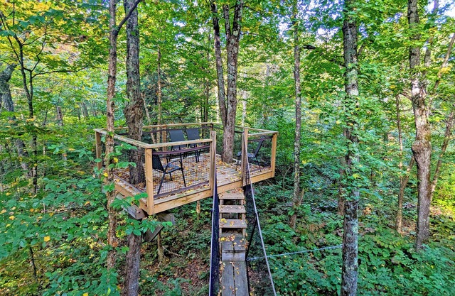 Treehouse #12 (in the forest)
