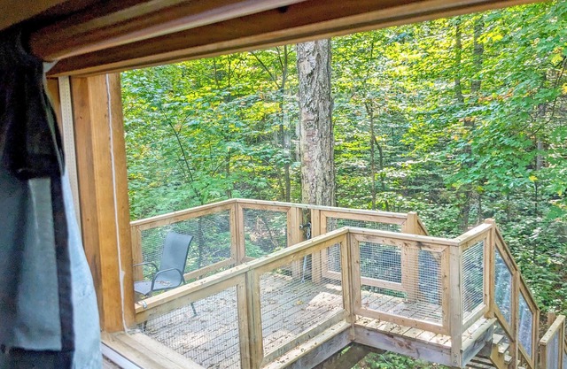 Treehouse #13 (in the forest)