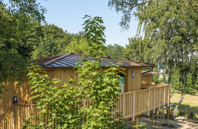 Treehouse Birkenhöhe - Aerzener Baumhaushotel Waldquelle