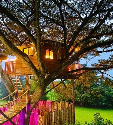 Treehouse