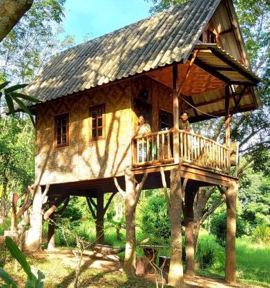 Treehouse Holidays-Family house