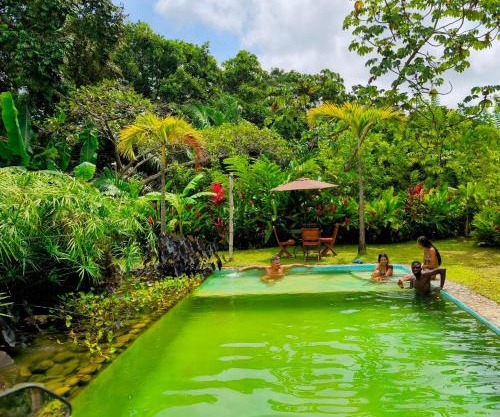 Treehouse Tayrona