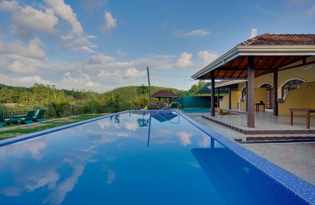 Treetop Resort