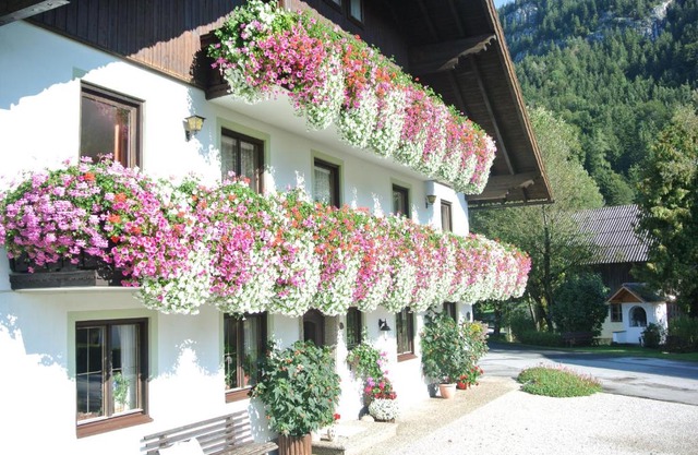 Treindlhof