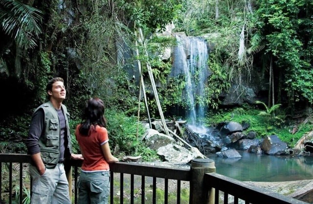 Tri-Living with Coastal Views - Tamborine Mountain