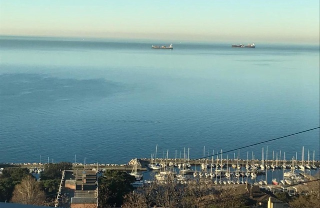 Trieste Sea Life