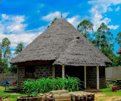 Tropical lodge