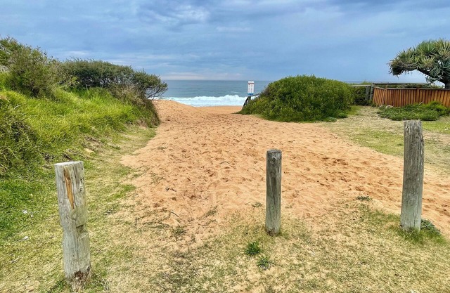Tropical Northern Beaches Sydney