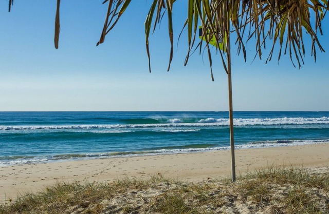 Tropical Oasis by the ocean - family fun