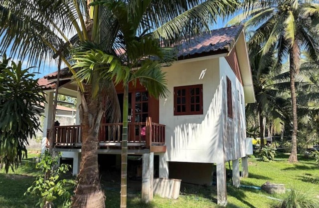Tropical Wooden House