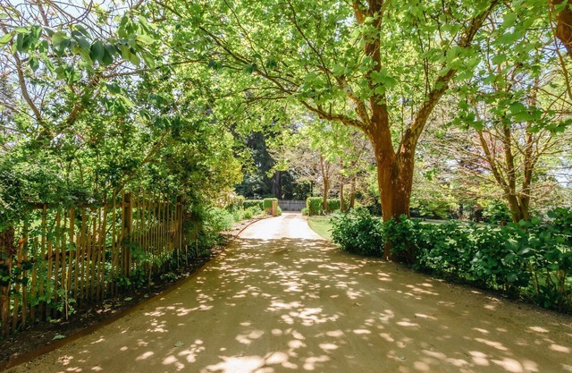 Tucks Hill - Get away from it all and find peace at Tucks Hill!