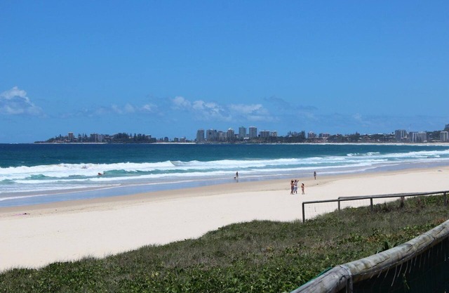 Tugun Treetops