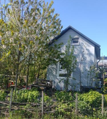 Tuinhuisje in het groen