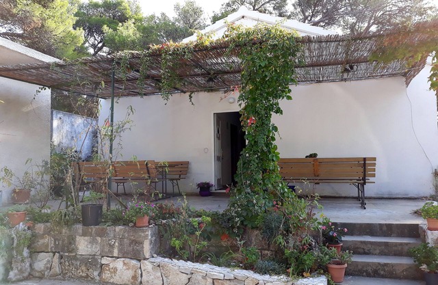 Two bedroom apartment with terrace Cove Blaca, Mljet (A-4899-e)