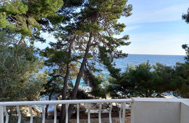 Two bedroom apartment near beach Ivan Dolac, Hvar (A-21269-e)
