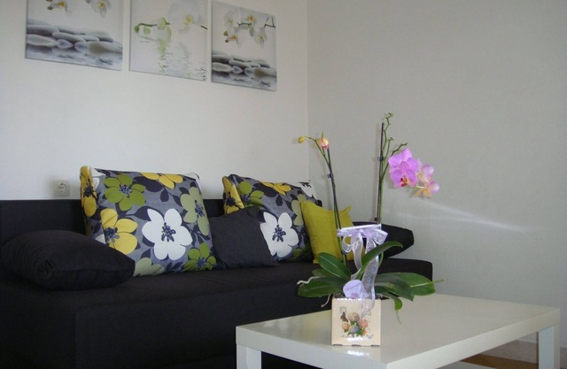 Two bedroom apartment with air-conditioning Supetar, Brač (A-13180-b)