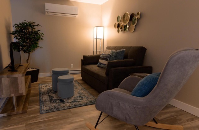 Two-bedroom flat + sofa bed in the city centre (Le Court-toit)