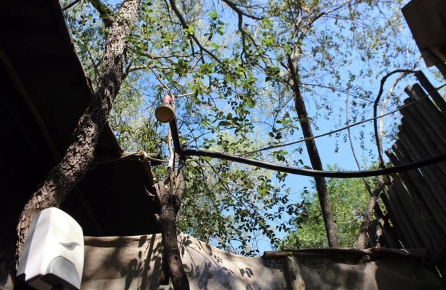 Two Bedroomed Bush-tent on the Klaserie River, with free lion - hyena sounds