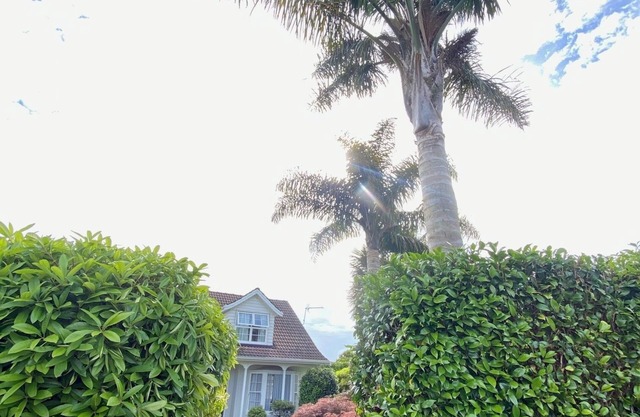 Two Palms Cambridge, peaceful and safe and pet friendly