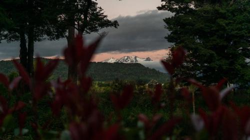 Two Rivers Ohakune - Boutique Bed and Breakfast