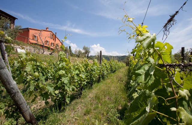 Two-room apartment in farmhouse surrounded by greenery and a few kilometers from the sea