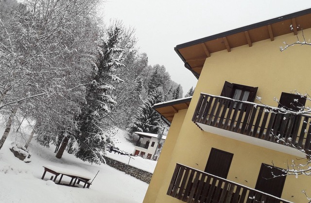 Two-room apartment near the woods