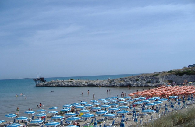 Two-room villa 2 beds Tenuta Montincello