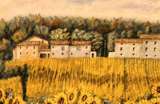 Typical house - Apartment in a farmhouse with pool and panoramic views