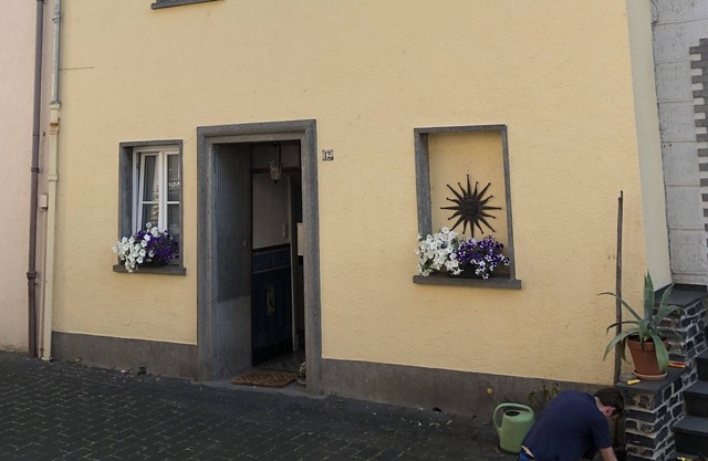 Typical Moselle winegrower's house with modern charm and free public transport ticket