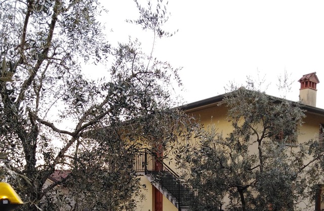 ULIVI TERRA apartment sleeps 6 in Riva Di Solto - Lake Iseo, Bergamo