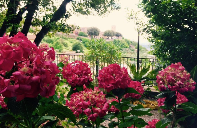 Umbria