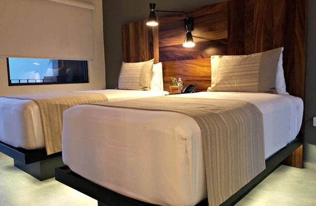 Unique 1BR Suite in San Jose del Cabo