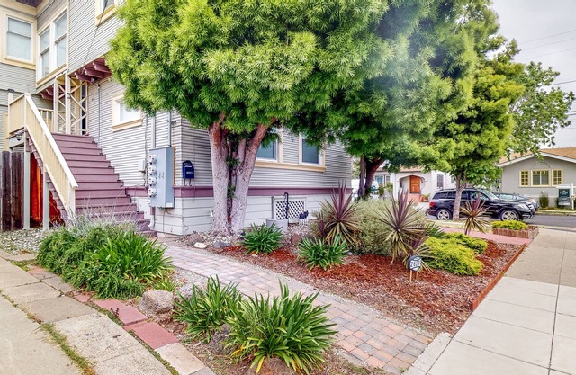 Unique Dog-Friendly Apartment, Convenient Location