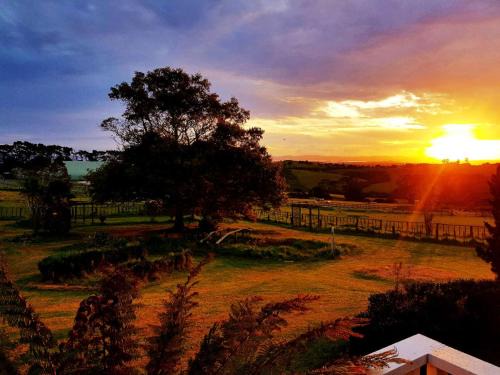 Unique farm house in Totara Park